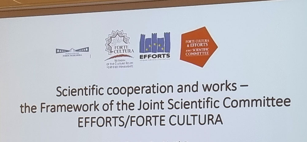 Venice (IT): Declaration on the establishment of the Joint Scientific Committee (JSC) of EFFORTS and FORTE CULTURA signed