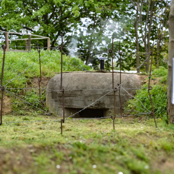 Poznan (PL): V Conferencia Internacional Biehler-Fort