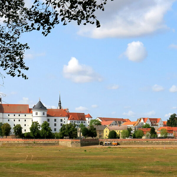 Torgau (DE): Grenadierbataillon von Spiegel e.V. becomes a new network member